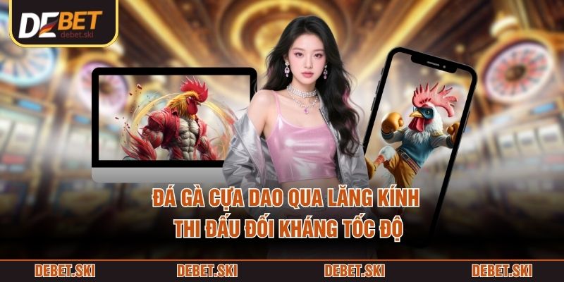 Đá gà cựa dao qua lăng kính thi đấu đối kháng tốc độ