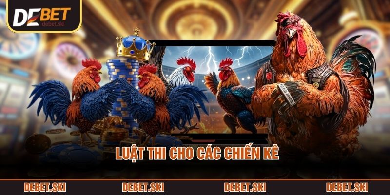 Luật thi cho các chiến kê