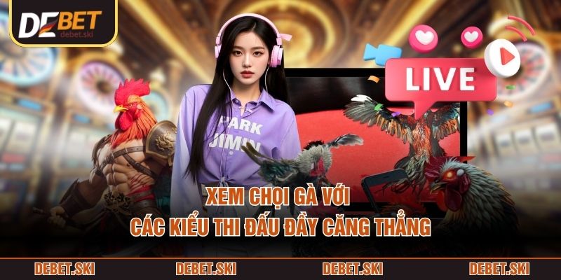 Xem chọi gà với các kiểu thi đấu đầy căng thẳng